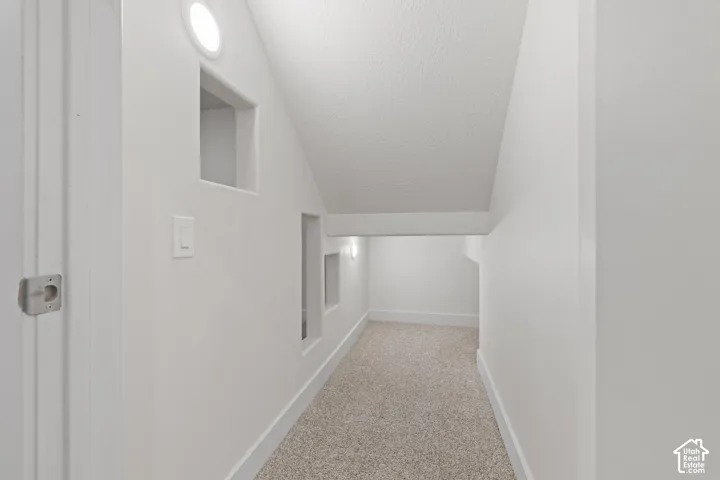 Recessed wall niches, flush-mount ceiling lighting, built-in wall lighting, and neutral carpeting