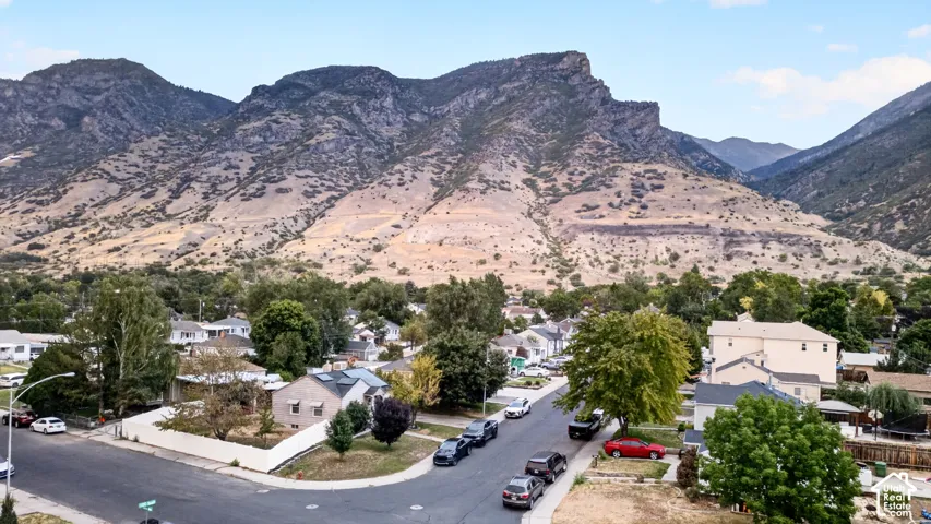 Mountain backdrop
