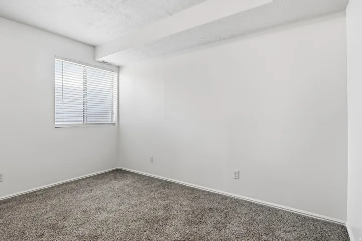 Wall-to-wall carpeting, featuring a window with horizontal blinds