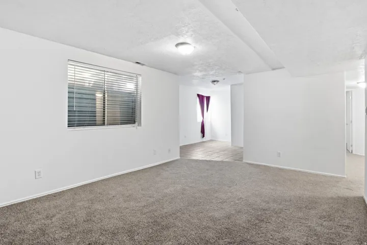 Wall-to-wall carpeting in a neutral tone, ceiling-mounted lighting, and a window with horizontal blinds