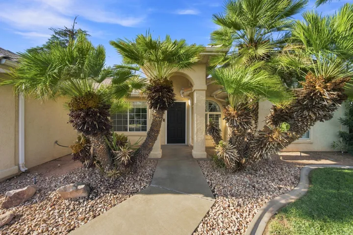 Stucco exterior with an arched entryway, multiple palm trees, and a concrete pathway