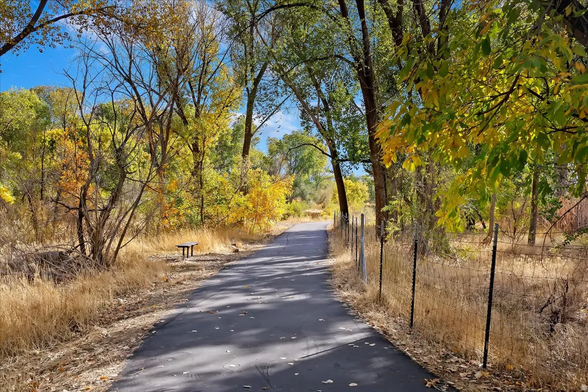 Paved pathway bordered by a wire fence, mature trees with seasonal foliage, and an open-air bench
