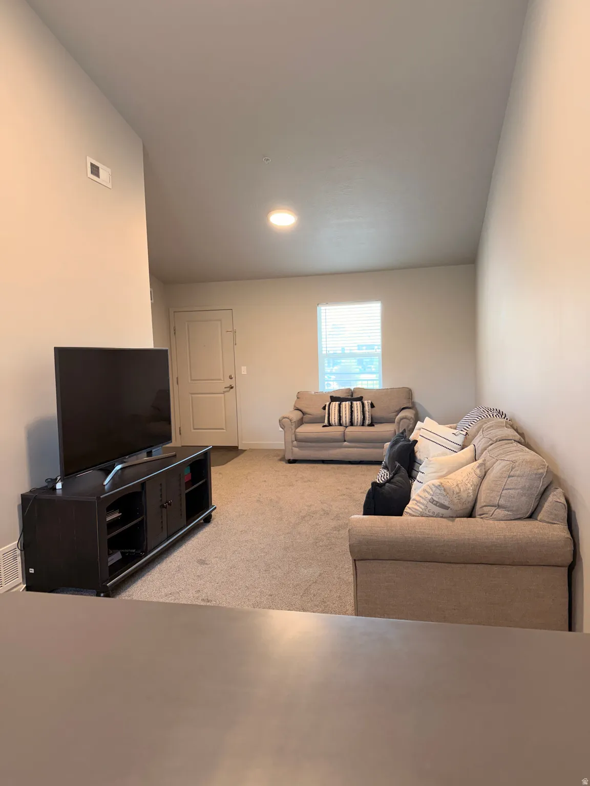 Carpeted living area with light-toned walls, a single window with blinds, and a built-in ceiling light fixture