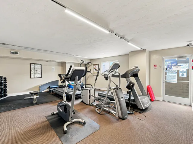 Fitness area featuring carpeted flooring, multiple cardio machines, free weight storage, and track lighting
