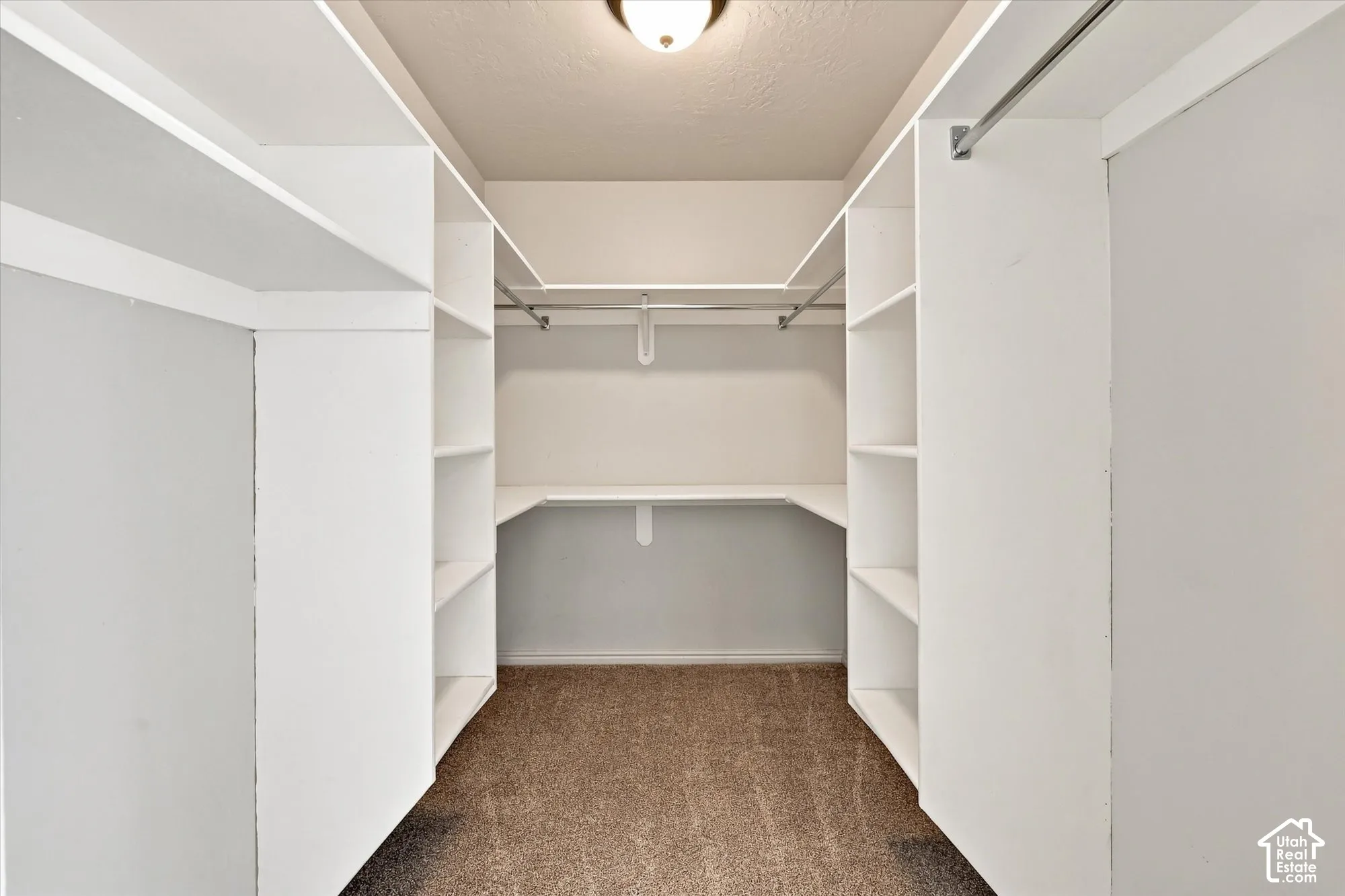 Walk-in closet with built-in shelving, hanging rods, and carpet flooring