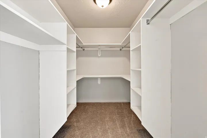 Walk-in closet with built-in shelving, hanging rods, and carpet flooring