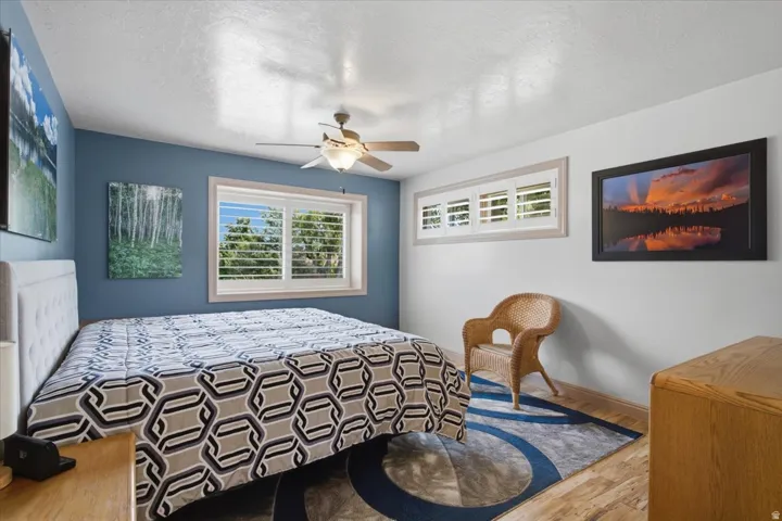 Wood-finish flooring, ceiling fan, white window shutters, and a painted accent wall