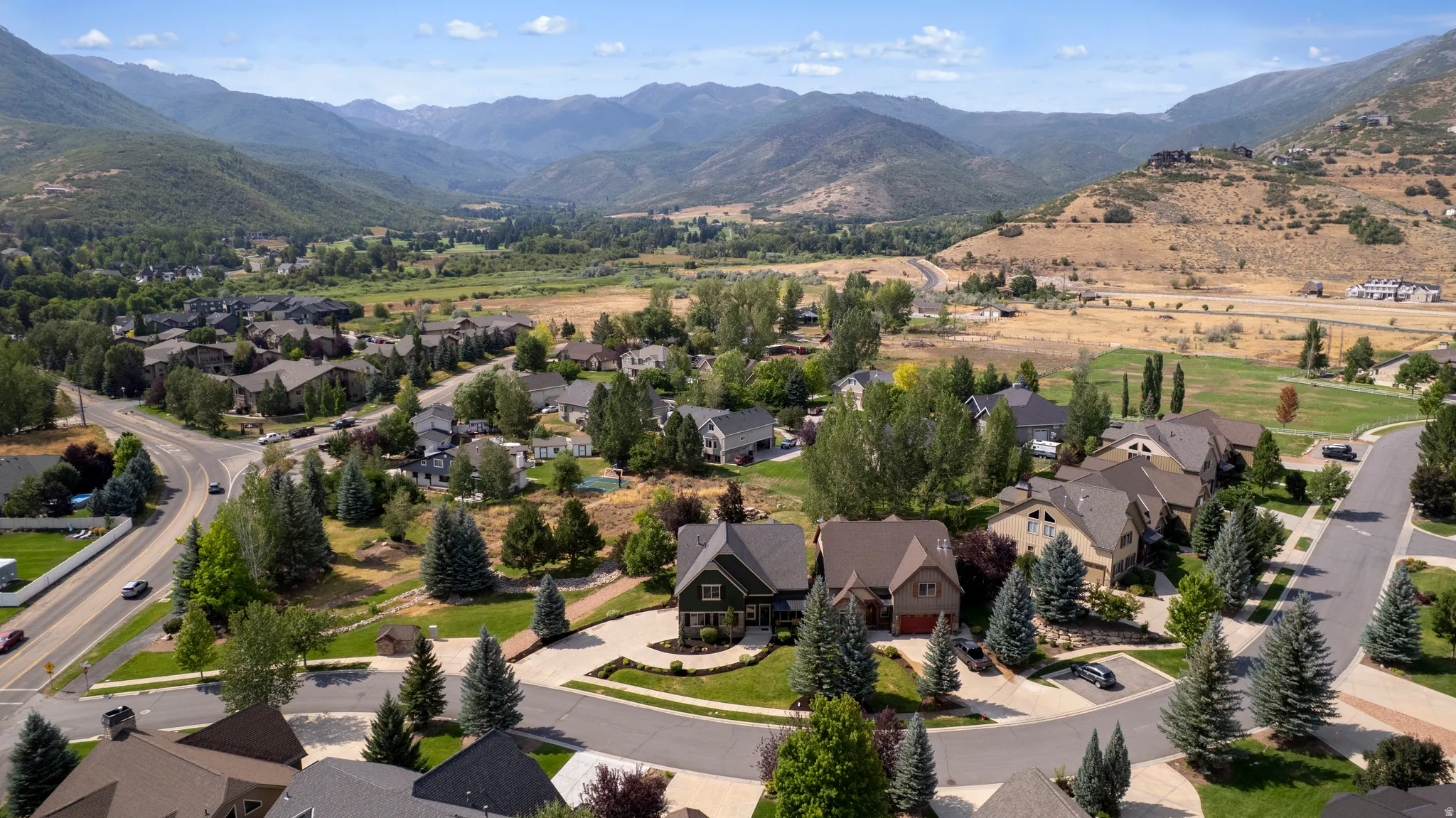 Residential community with multiple architectural styles, extensive tree canopy, and mountainous terrain
