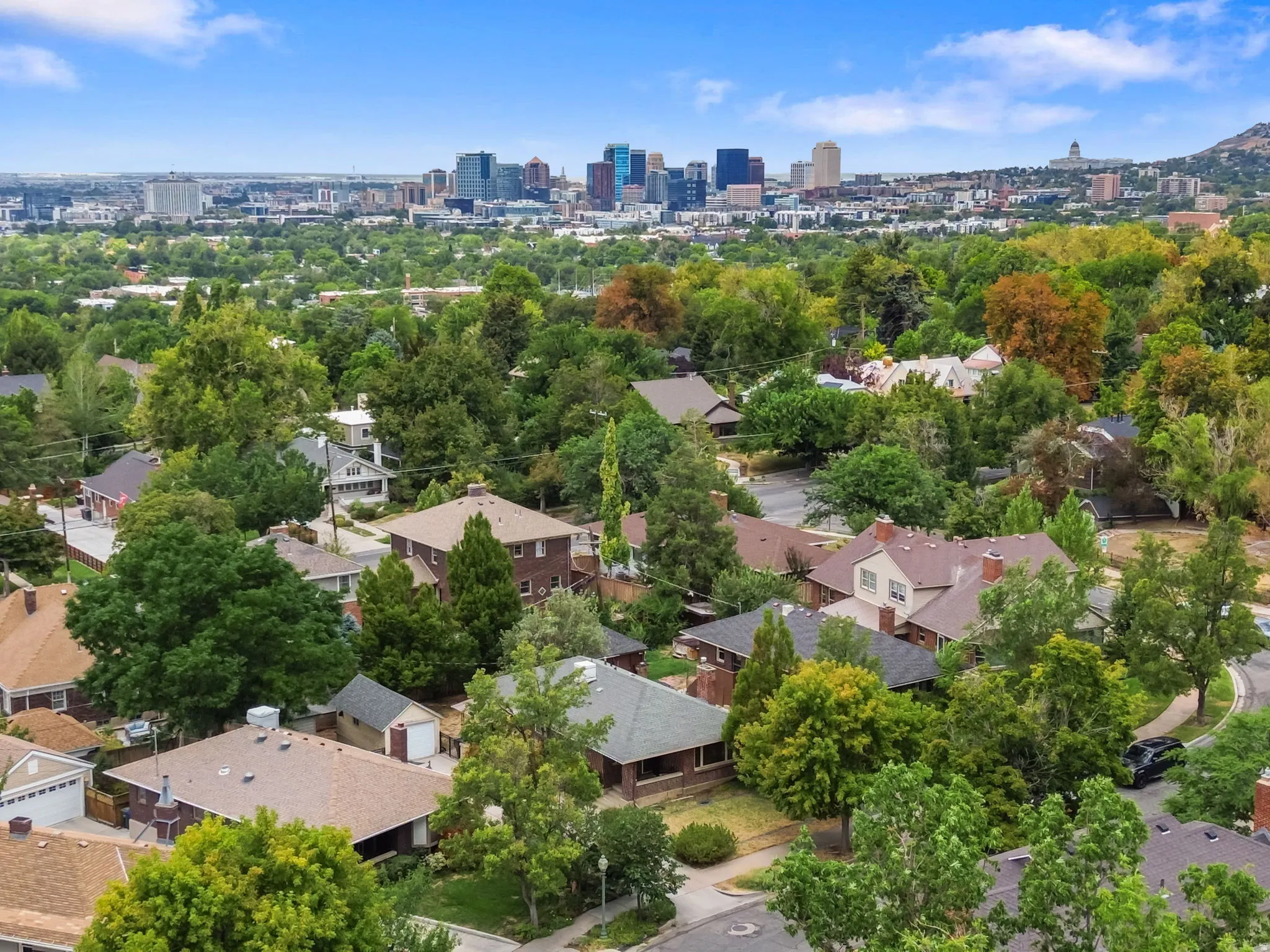 Lush treelined residential area with a prominent cityscape in the background