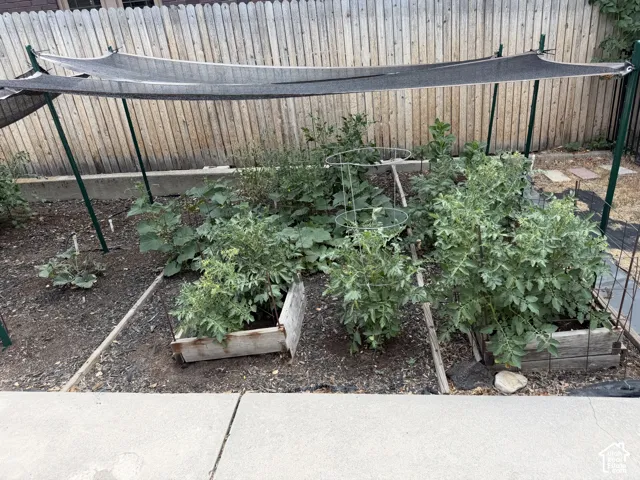 Raised garden beds with established plantings, wood privacy fence, and concrete border