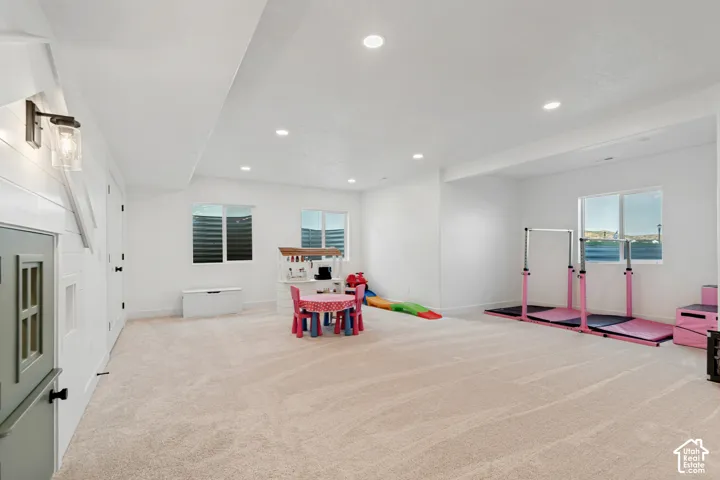 Basement Family Room