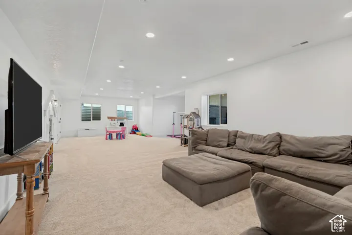 Basement Family Room