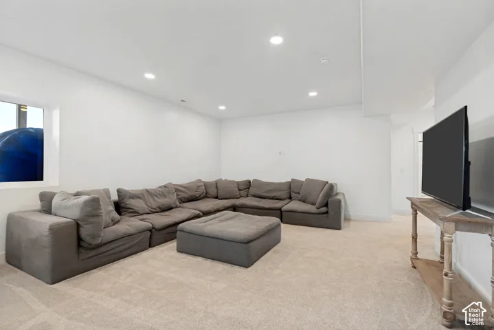 Basement Family Room