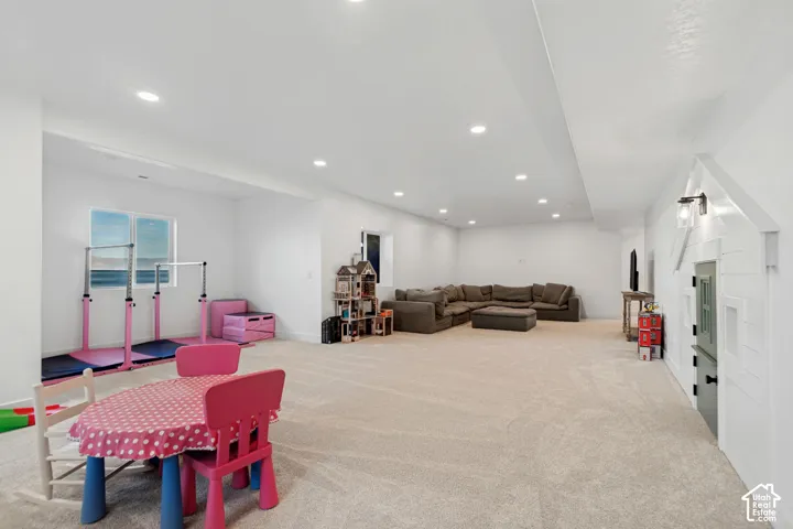 Basement Family Room
