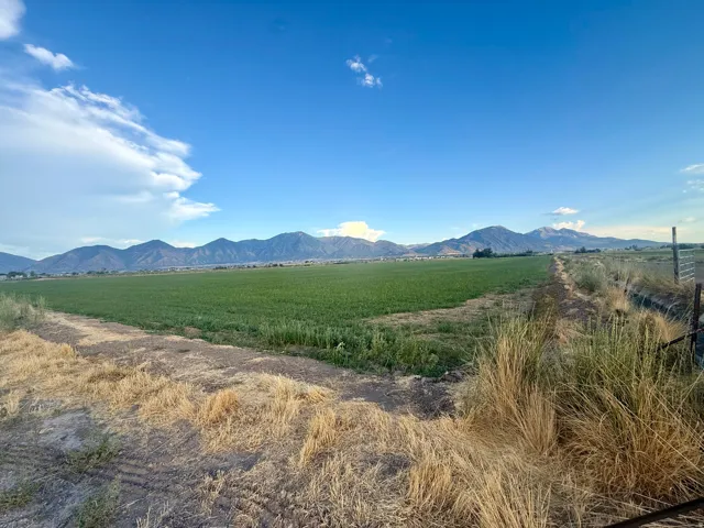 Expansive green field with distant mountain range