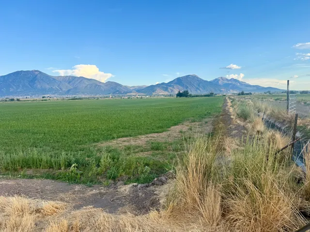 Expansive agricultural field with distant mountains under a clear sky