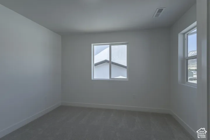 Textured carpeting, multiple windows, and light-toned wall finishes