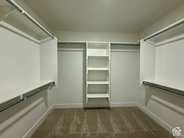 Walk-in closet featuring floor-to-ceiling built-in shelving, multi-level metal garment rods, neutral wall-to-wall carpeting, and white shelving components