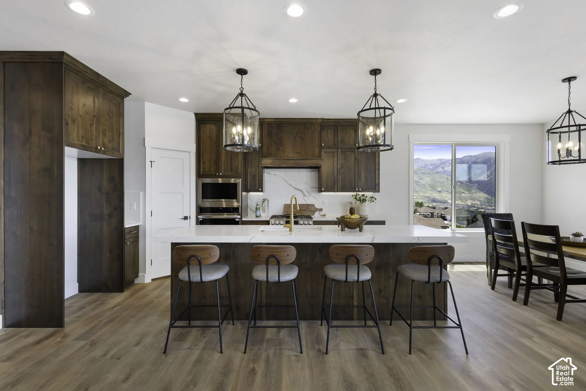 Kitchen featuring wood-finish flooring, dark wood cabinetry, white countertops, recessed lighting, and stainless steel appliances