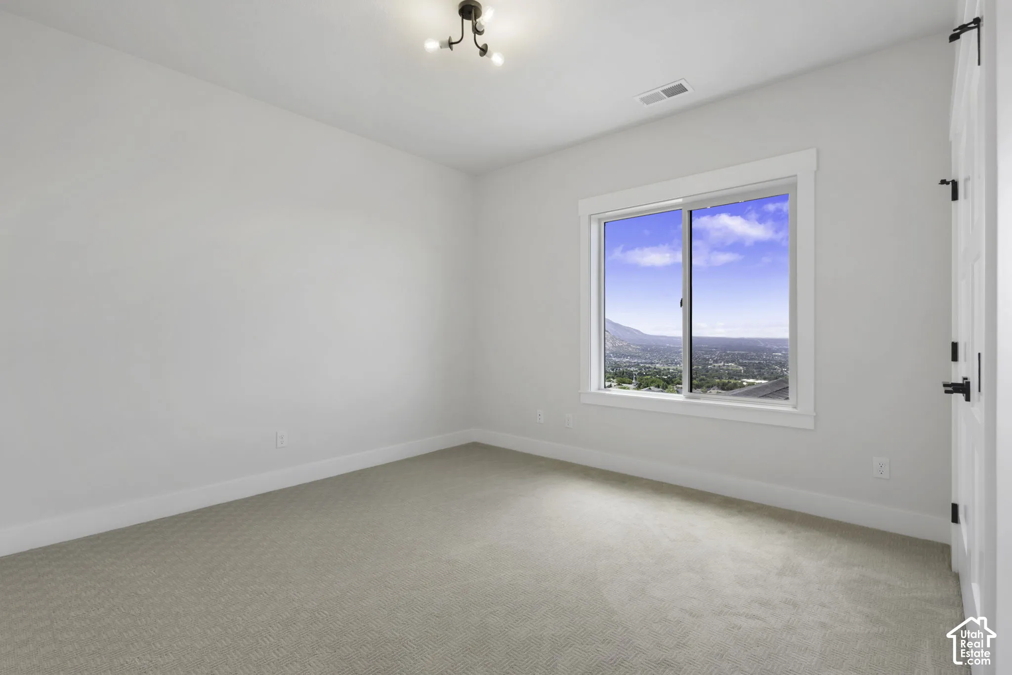 Neutral wall paint, carpet flooring, a single window, and a ceiling light fixture
