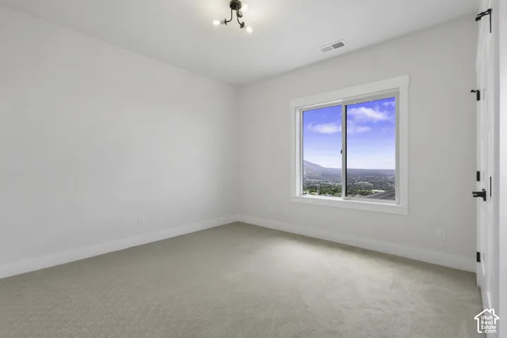 Neutral wall paint, carpet flooring, a single window, and a ceiling light fixture