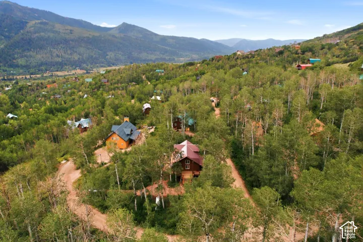 Mountainous backdrop with extensive tree coverage and multiple properties situated on a sloping terrain