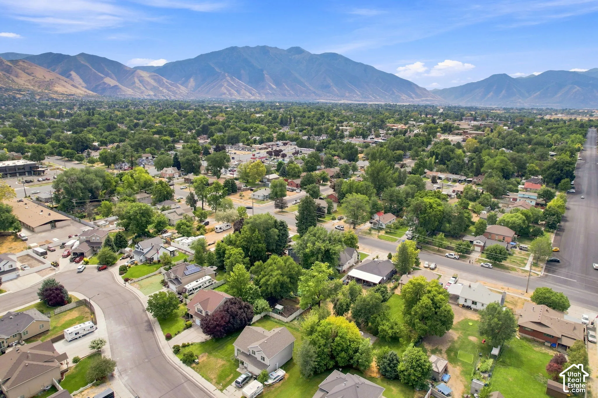 Expansive neighborhood with mature trees and mountain scenery