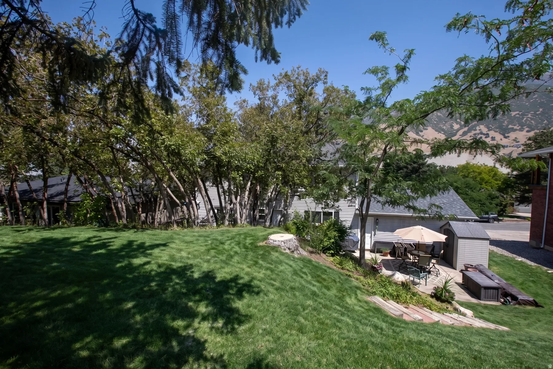 Expansive lawn with mature trees and a sloped landscape