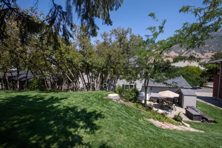 Expansive lawn with mature trees and a sloped landscape