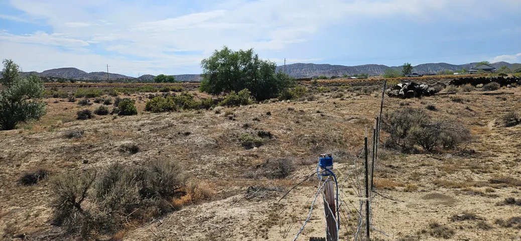 Expansive land parcel featuring natural desert vegetation and a distant mountain backdrop