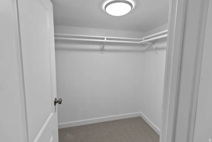 Walk-in closet featuring carpet flooring, built-in shelving, and a flush mount ceiling light