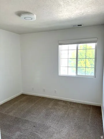 Wall-to-wall carpeting and a ceiling-mounted light fixture