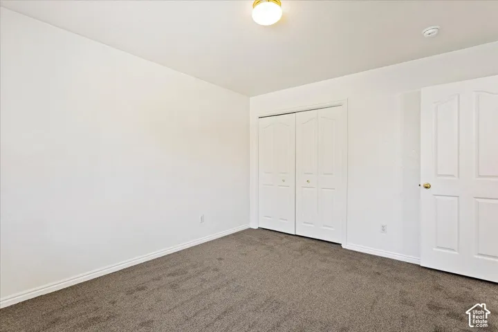 Neutral wall finishes, textured carpeting, white trim, and a bi-fold closet door