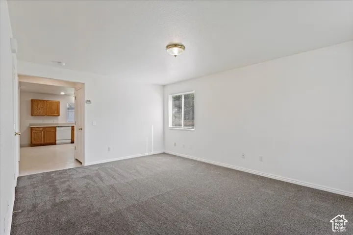 Neutral wall tones with gray carpeting
