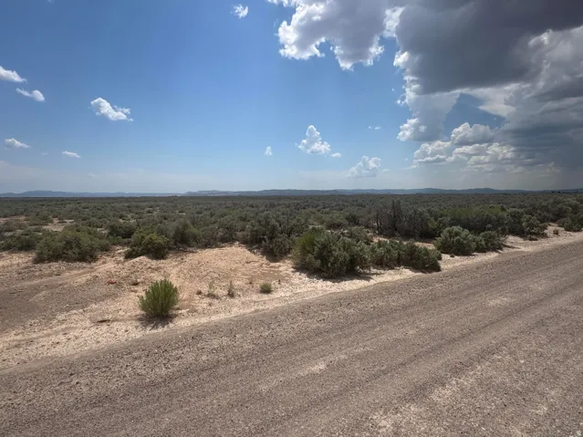 Expansive landscape featuring natural desert vegetation, a vast open sky, and a gravel road