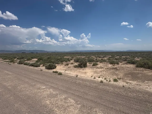 Expansive undeveloped land featuring natural vegetation and a gravel road