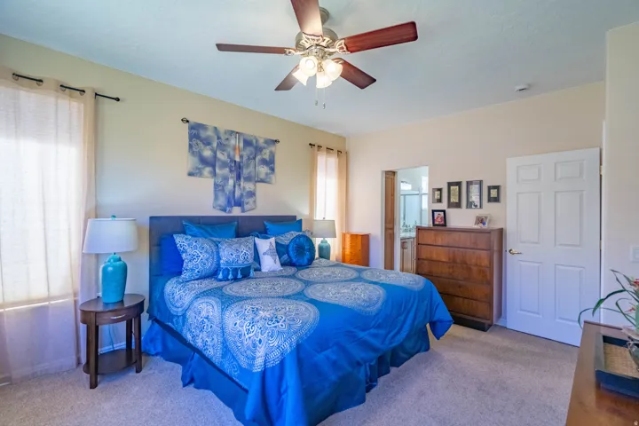 Ceiling fan with light fixture, carpet flooring, and a flat-panel door