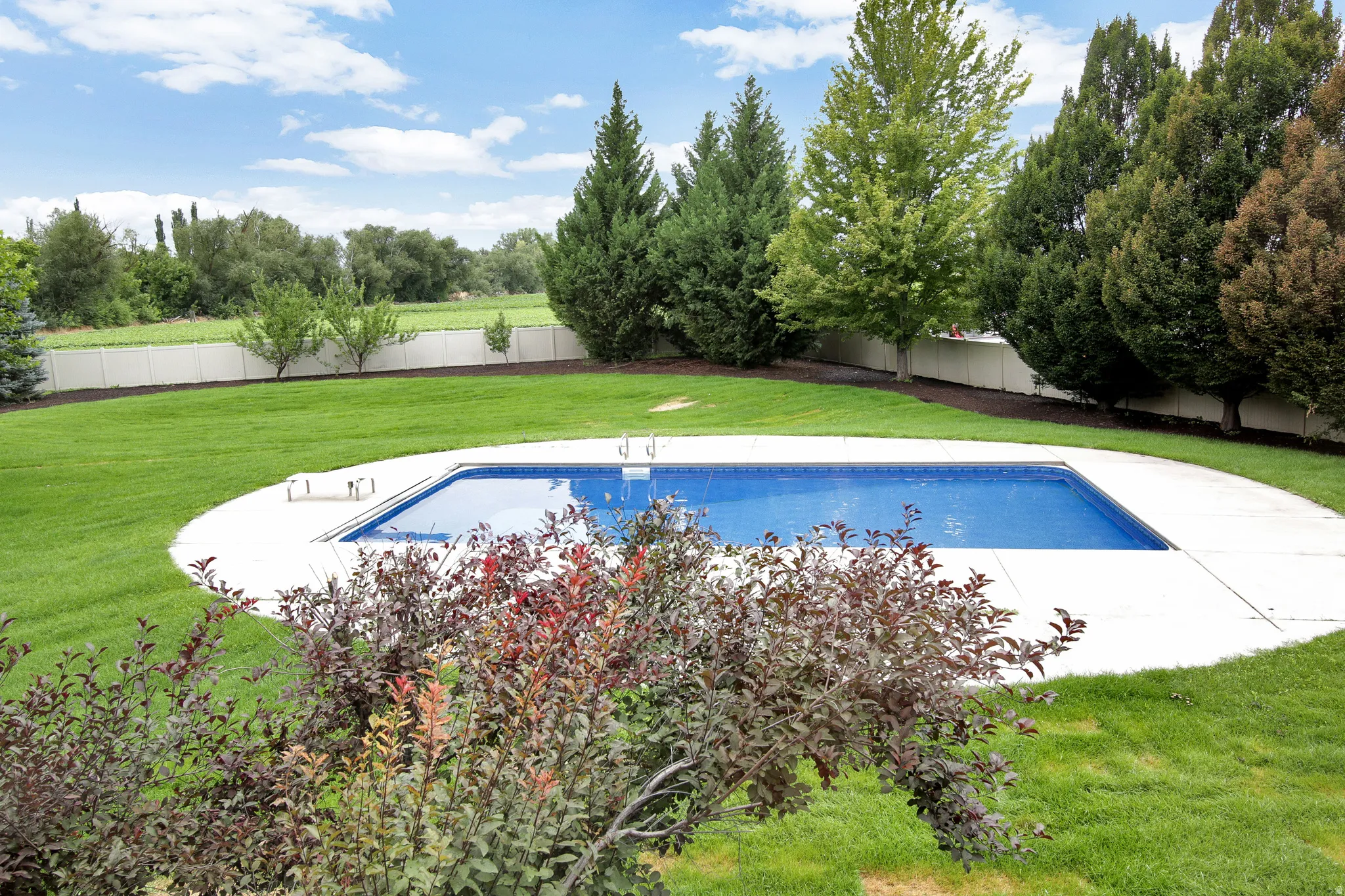 Expansive backyard oasis featuring a resort-style in-ground swimming pool with blue interior finish, concrete decking, and mature landscaping including evergreen and deciduous trees