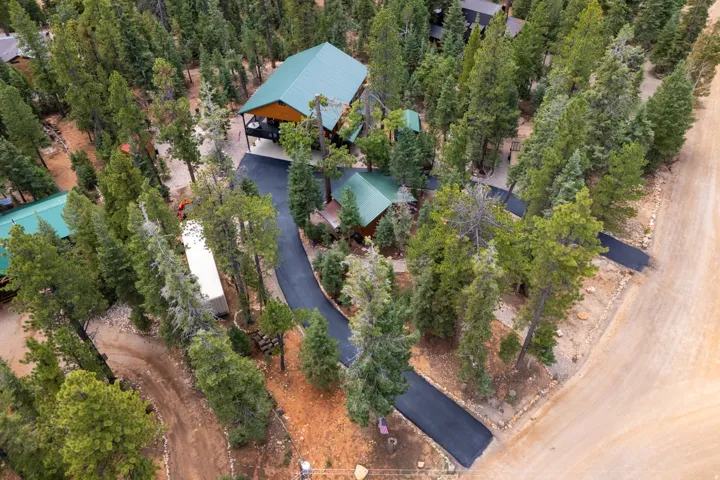 Extensive natural landscaping with mature trees, multiple paved driveways, a primary residence with a covered porch, and additional structures