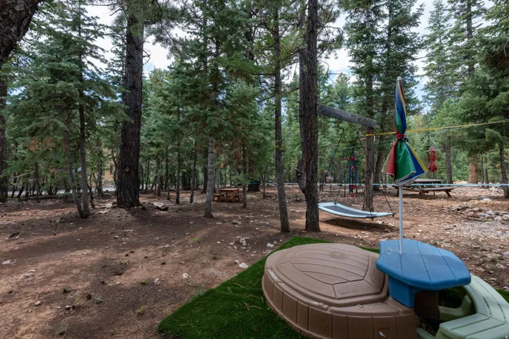 Wooded property featuring mature trees, a hammock, and a picnic area