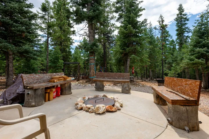 Circular concrete patio with a central rock-ringed fire pit, surrounded by mature evergreen trees