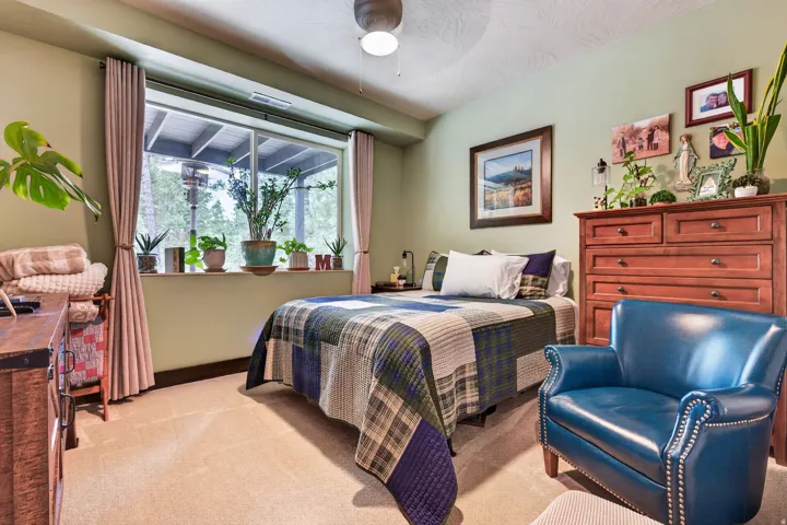 Window with outdoor scenery, ceiling fan, carpeted flooring, light green wall color