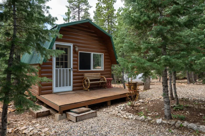Rustic cabin exterior with wood-finish siding, green metal roofing, and a front porch
