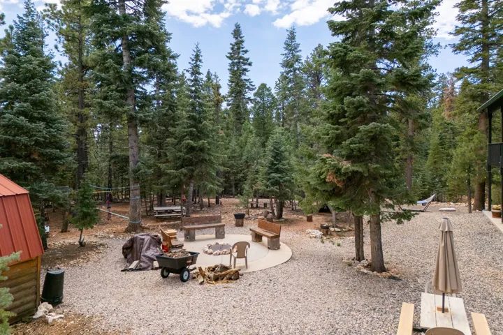 Expansive outdoor area featuring a central circular patio, surrounding gravel landscaping, and mature evergreen trees