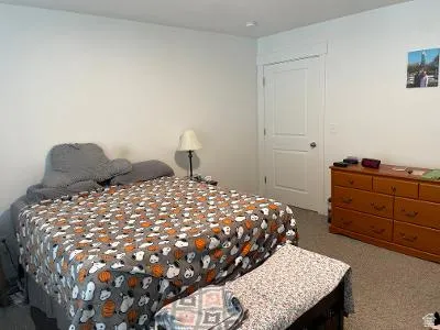 Spacious bedroom featuring neutral wall finishes, wood-finish dresser with ample storage, carpeted flooring, and a white 6-panel closet door