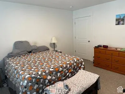 Spacious bedroom featuring neutral wall finishes, wood-finish dresser with ample storage, carpeted flooring, and a white 6-panel closet door