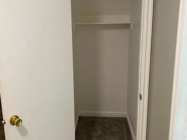 Closet with a single built-in shelf and a hanging rod