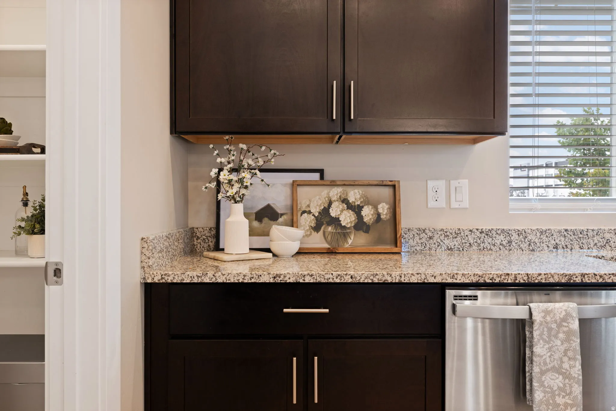 Dark wood-finish cabinetry with silver-tone hardware, granite-style countertops, stainless steel appliance, and a built-in pantry with white shelving