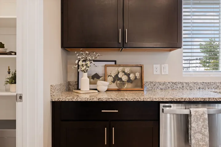 Dark wood-finish cabinetry with silver-tone hardware, granite-style countertops, stainless steel appliance, and a built-in pantry with white shelving