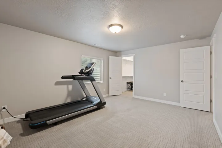 Light gray wall paint, recessed window with blinds, overhead flush mount lighting, textured carpet flooring, and a white interior door with contemporary hardware